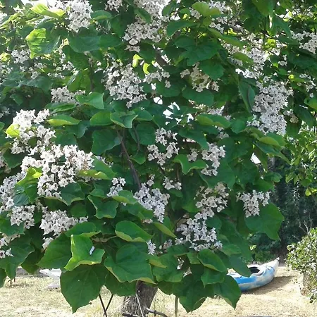 فندق مبيت وإفطار Lo Stazzo Aggius